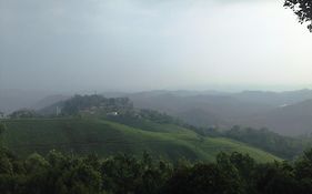 Estate Residency